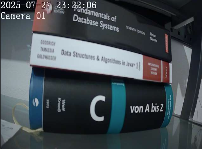 Camera Stream Screenshot